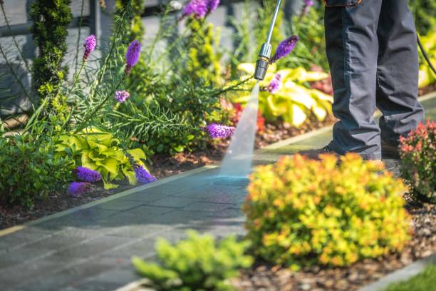 Best Dumpster Area Cleaning  in Crescent City, CA